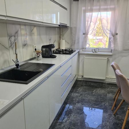 Panoramic View Apartment Petroşani Extérieur photo